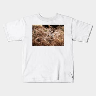 Red Deer Doe Resting in Bracken Kids T-Shirt